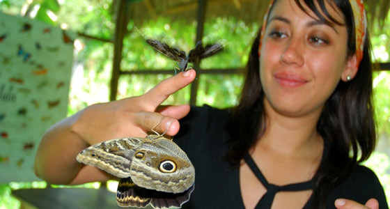 turista-interactuando-con-mariposa-en-el-albergue-de-animales-shaveta-yard